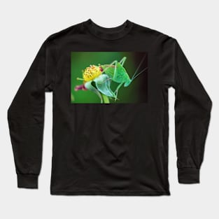 Young Bush-Cricket 2 Long Sleeve T-Shirt